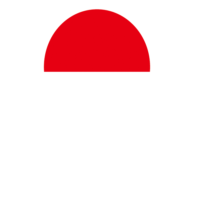 新密市东方化工有限公司